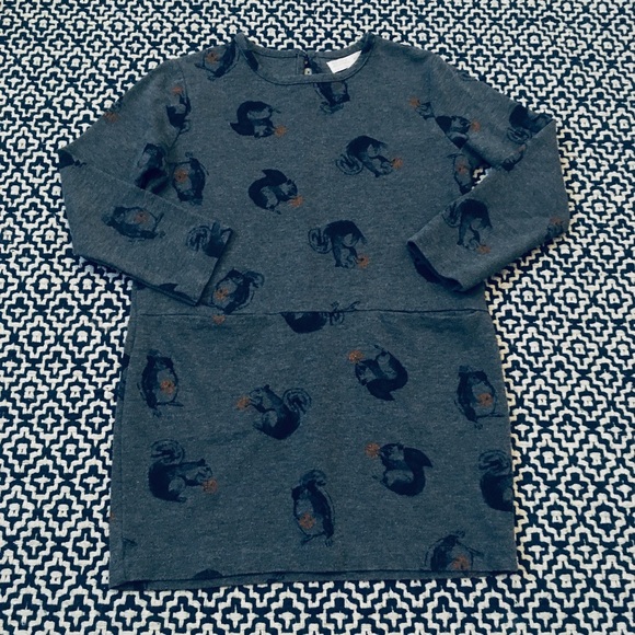 Zara girls grey squirrel print tunic dress - Picture 1 of 2